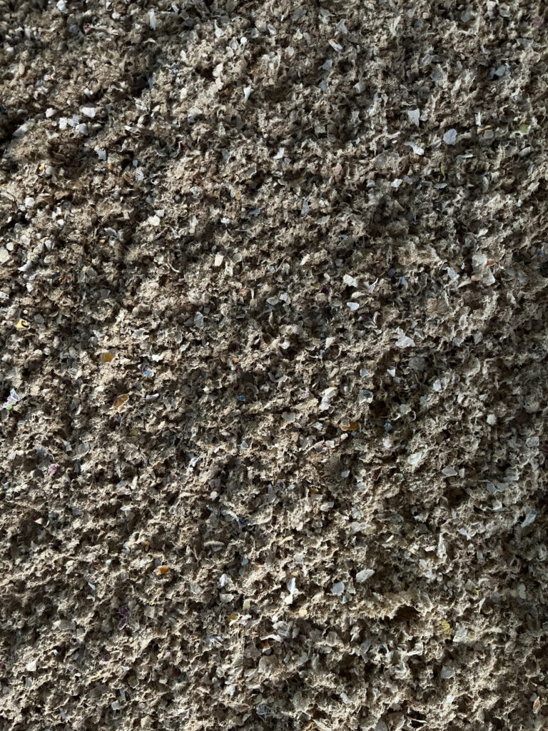 Celulosa proyectada - (3)